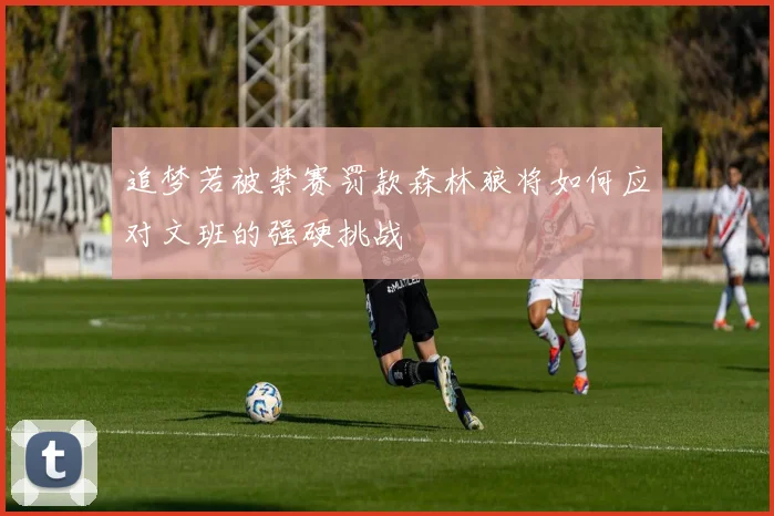 追梦若被禁赛罚款森林狼将如何应对文班的强硬挑战